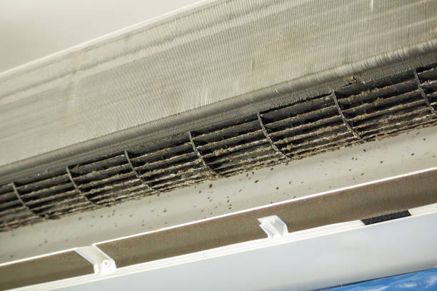 Best Professional Duct Cleaning Services  in Martinsburg, PA